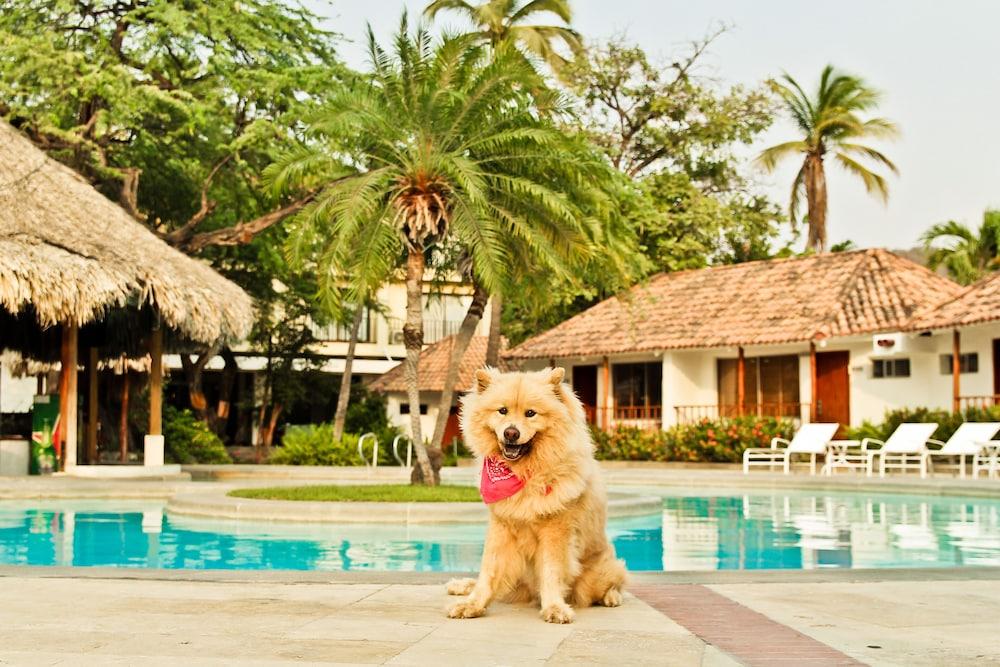 Estelar Santamar Hotel & Centro De Convenciones Santa Marta  Ngoại thất bức ảnh